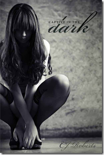 captive-in-the-dark-cj-roberts