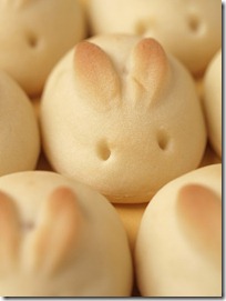 bunnyrolls