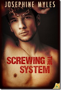 screwingsystem