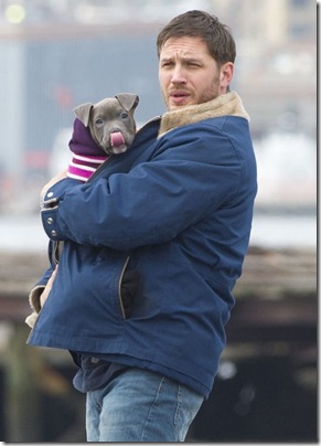 hardypuppy