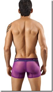 purplebuns