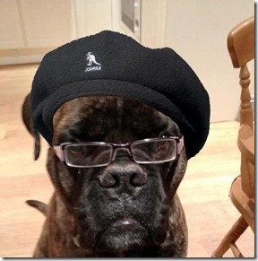 samuelljackson