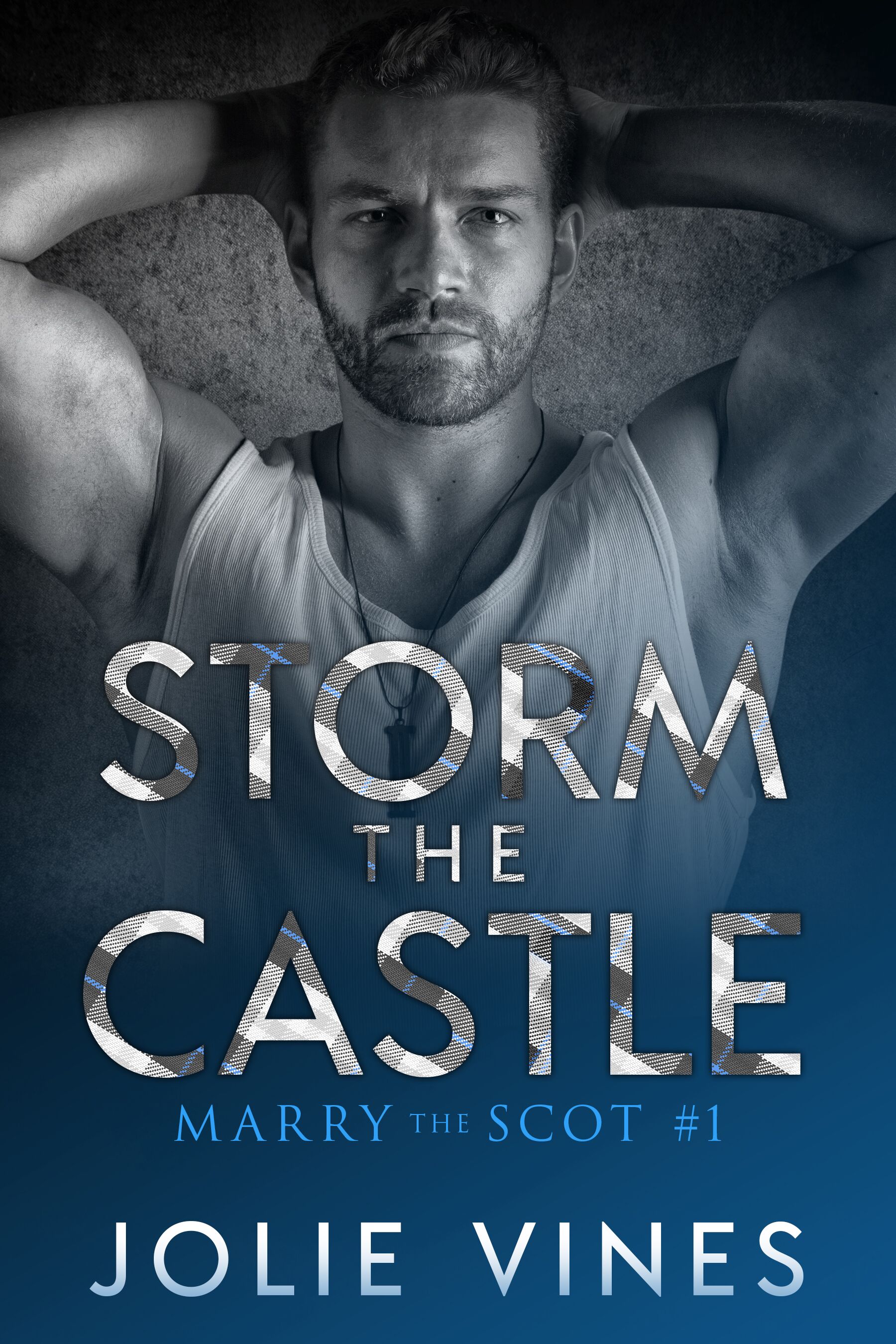 Cover Reveal Storm the Castle by Jolie Vines